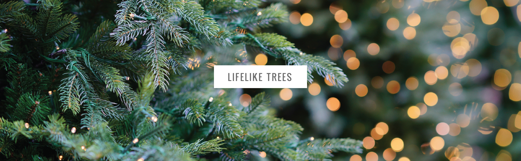 lifelike christmas tree 12 ft theres never been better time to invest in lifelike christmas tree advancements construction design and lighting have made artificial trees truly mahoneys garden center lifelike artificial trees lifelike christmas tree 12 ft theres never been better time to invest in lifelike christmas tree advancements construction design and lighting have made artificial trees truly mahoneys garden center lifelike artificial trees