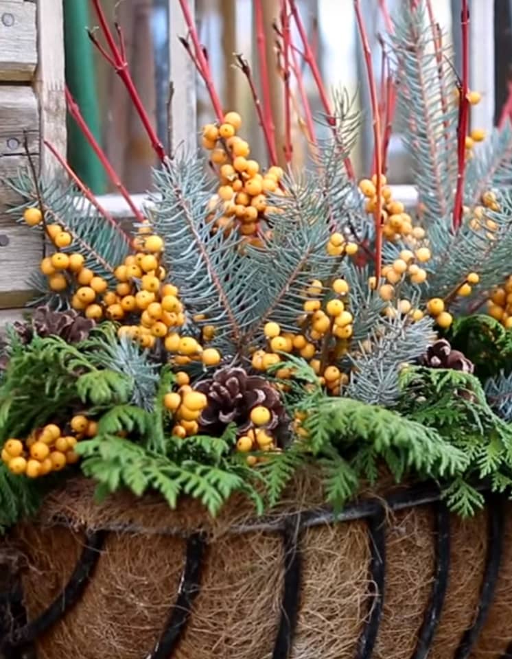 Decorating Your Winter Window Box - Blog- Mahoney's Garden Center