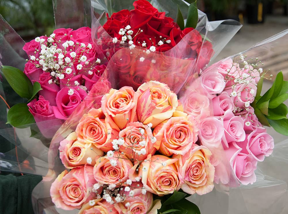 color meanings of valentine's day roses