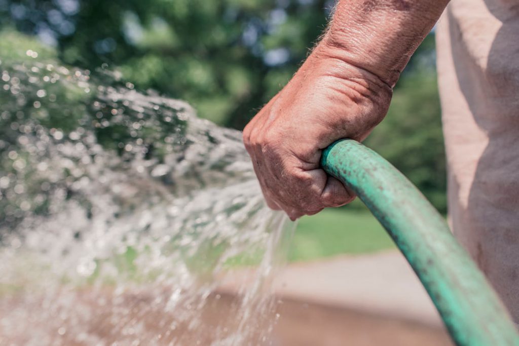 watering