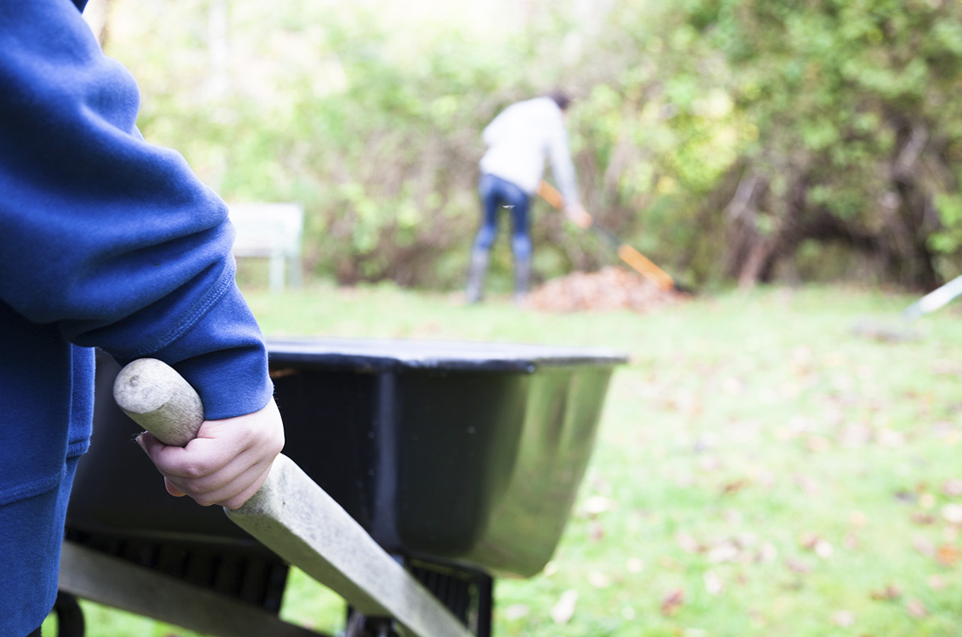 early spring garden tips