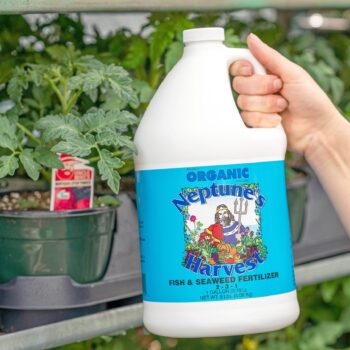 Neptune's Harvest Fish and Seaweed Fertilizer