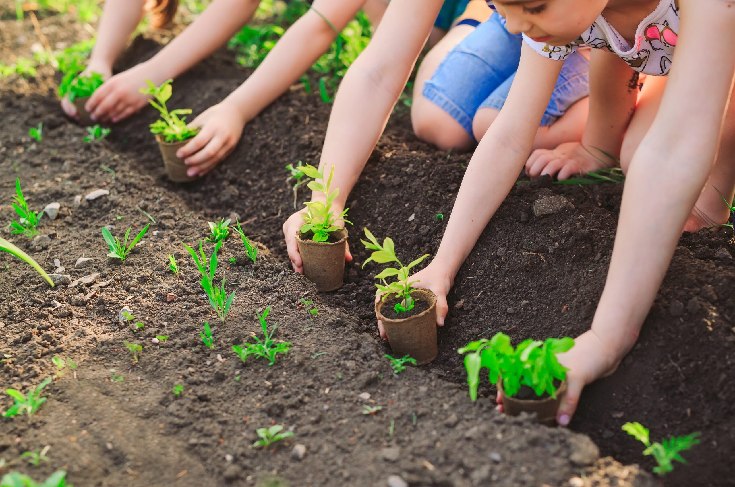 Kids planting