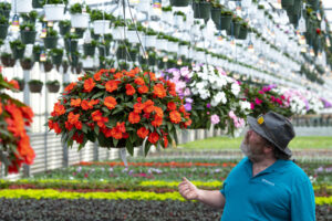 Sunpatiens are one of Uncle Mike's favorite plants to add to your garden.