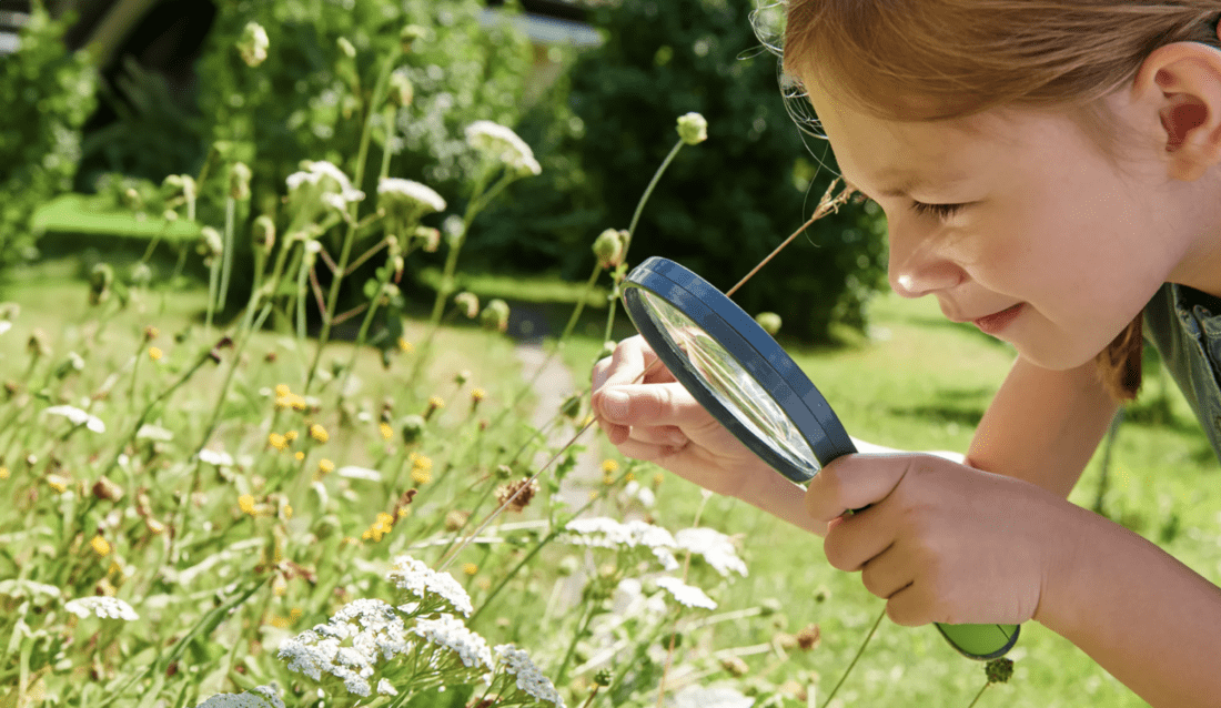 Child exploring flowers with a magnifying glass outdoors.