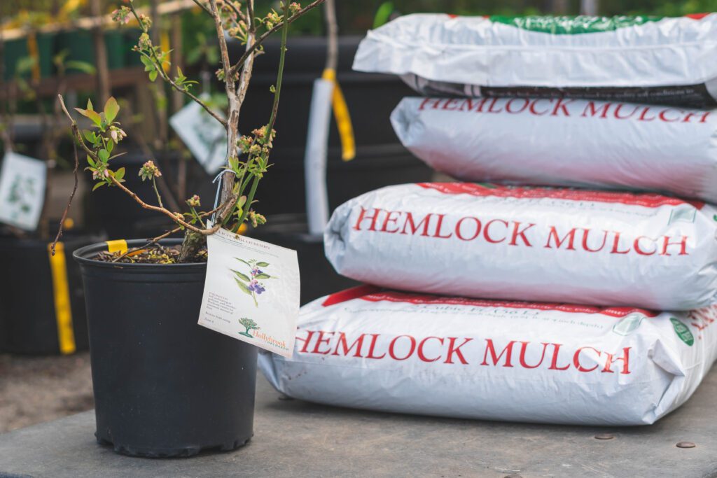 Stack of Hemlock mulch bags next to a potted plant at a garden center.