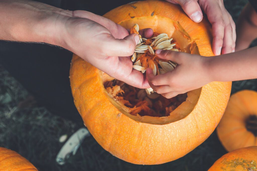 pumpkin activity