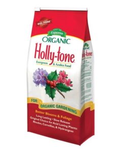 holly-tone for winter recovery