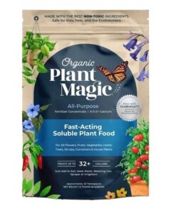 plant magic for winter recovery