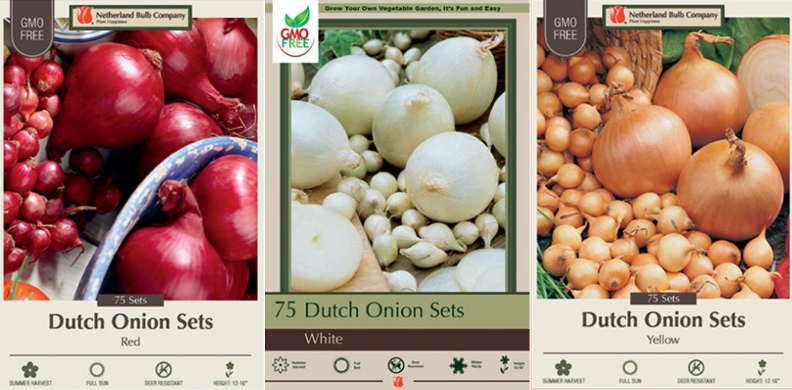 Edible Summer Bulbs onions