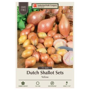 Edible Summer Bulbs shallots