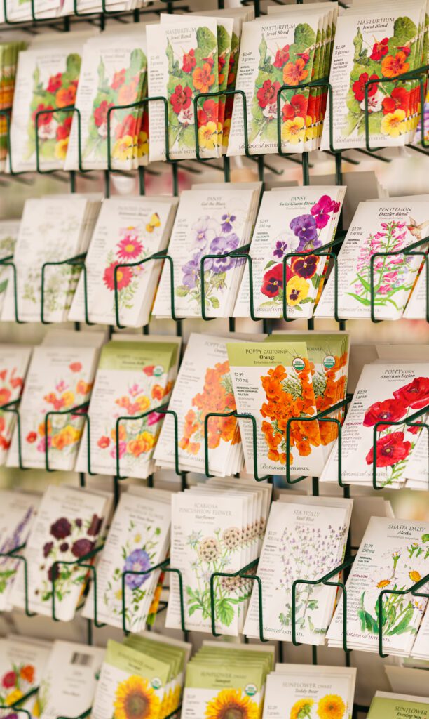 Start a Butterfly Garden from Seed