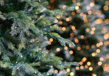 christmas tree lights