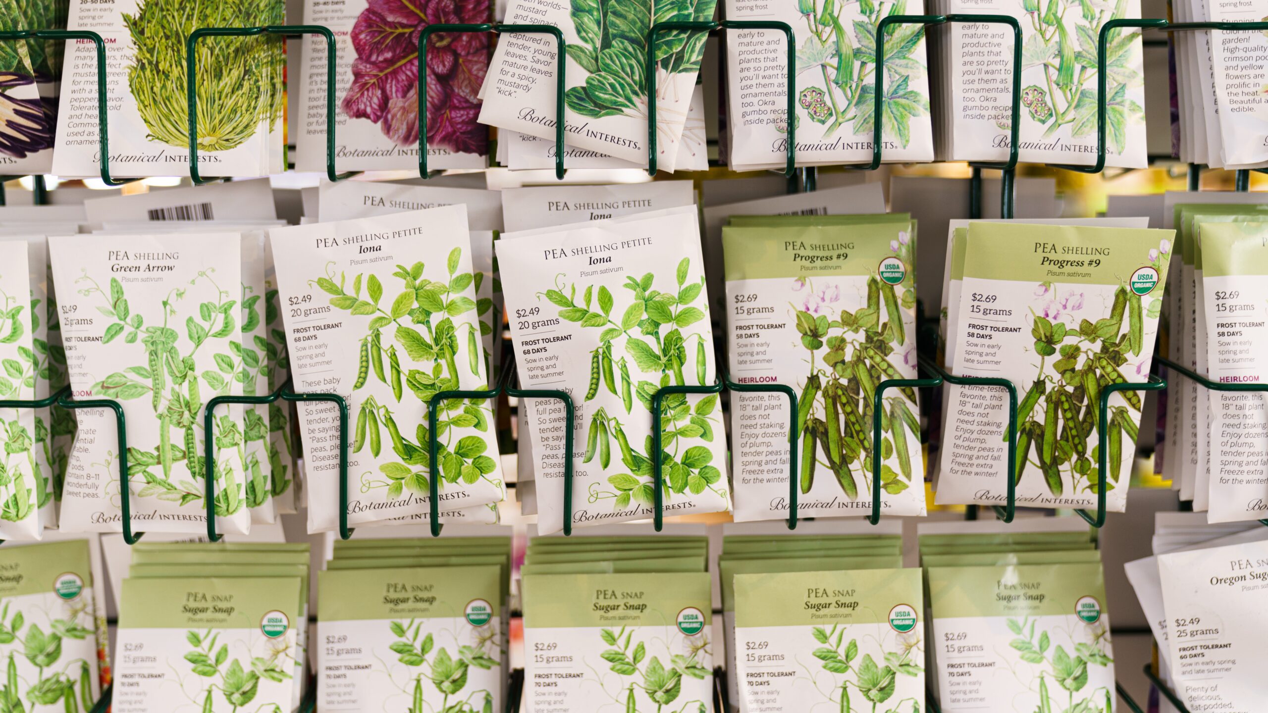 Pea Seeds