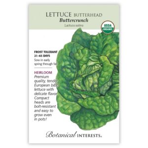 lettuce seeds