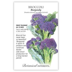 broccoli seeds
