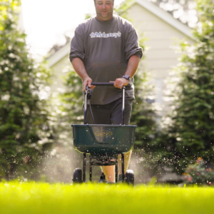 spring lawn care seeding lawn