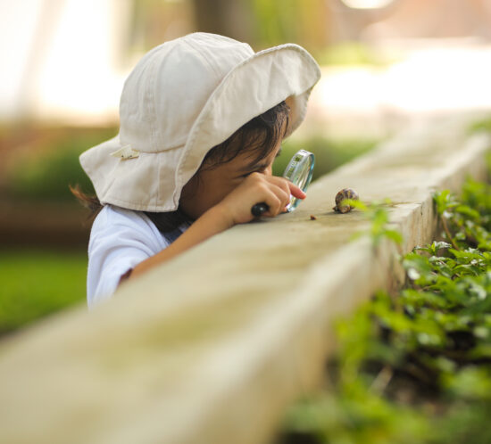 little child looking at snail through a magnifying glass
