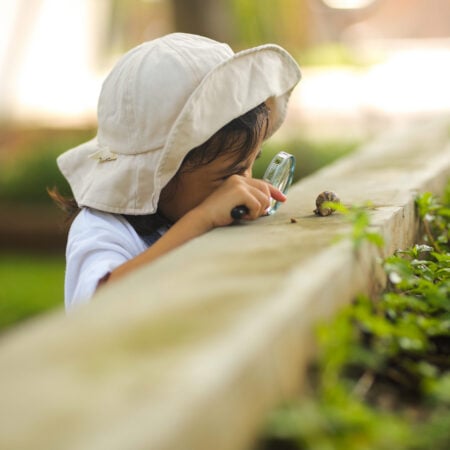 little child looking at snail through a magnifying glass