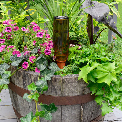 Plant Nanny wine bottle in barrel planter