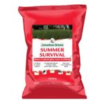 summer survival