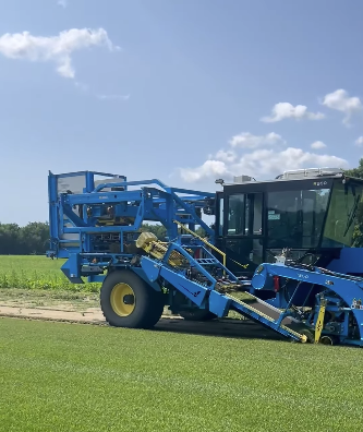 RTF Sod being cut