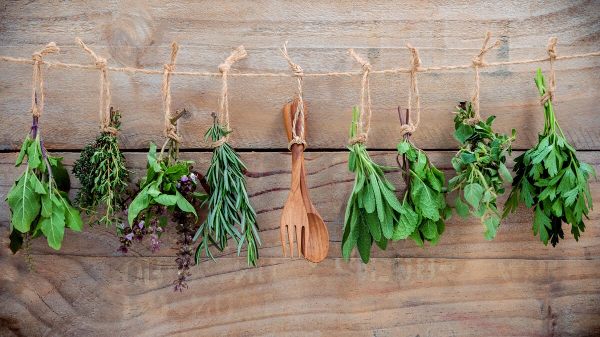herb drying